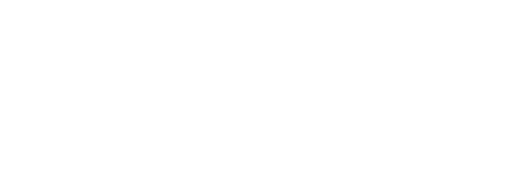 Logo Institulo Formação de Líderes
